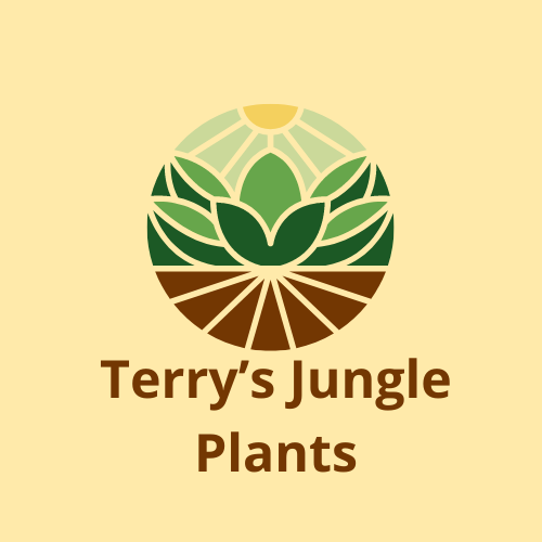 Terry's Jungle Plants